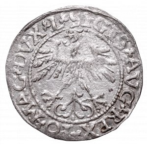 Sigismund II August, Half-groat 1561, Vilnius, L/LITV