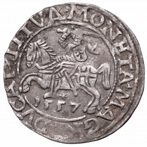 Sigismund II August, Half-groat 1557, Vilnius - LI/LITVA