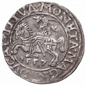 Zygmunt II August, Półgrosz 1557, Wilno - LI/LITVA