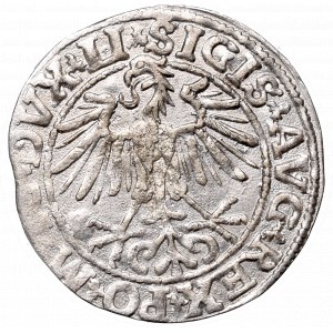 Sigismund II August, Half-groat 1550, Vilnius - LI/LITVA