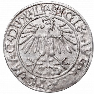 Sigismund II August, Half-groat 1549, Vilnius - LI/LITVA