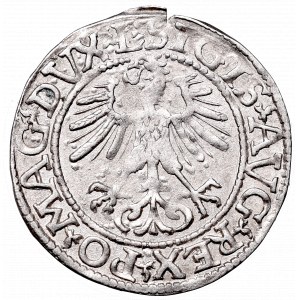 Sigismund II Augustus, Half-groat 1561, Vilnius, L/LITV