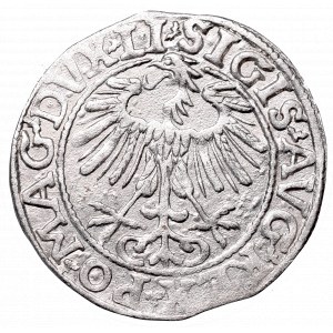 Sigismund II Augustus, Half-groat 1557, Vilnius - LI/LITVA