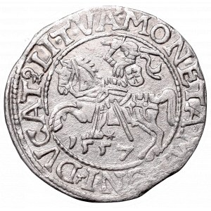 Sigismund II Augustus, Half-groat 1557, Vilnius - LI/LITVA