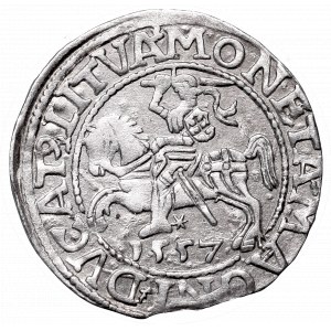 Sigismund II Augustus, Half-groat 1557, Vilnius - LI/LITVA