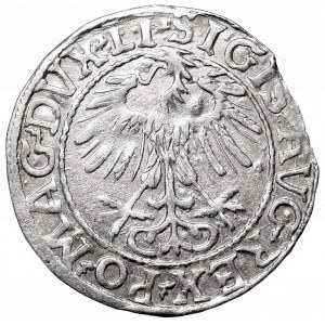 Sigismund II Augustus, Half-groat 1557, Vilnius - LI/LITVA