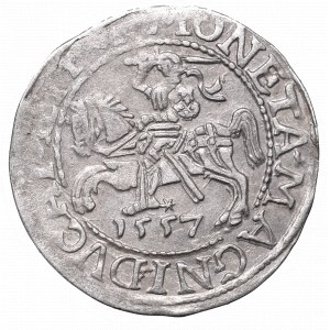 Sigismund II Augustus, Half-groat 1557, Vilnius - LI/LITVA