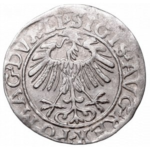 Sigismund II Augustus, Half-groat 1557, Vilnius - LI/LITVA