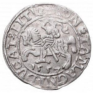 Sigismund II Augustus, Half-groat 1557, Vilnius - LI/LITVA