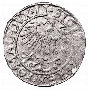 Sigismund II Augustus, Half-groat 1557, Vilnius - LI/LITVA