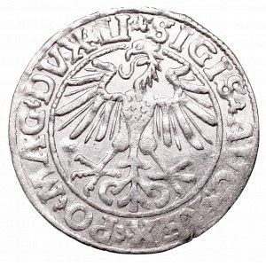 Sigismund II Augustus, Half-groat 1550, Vilnius - LI/LITVA