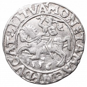 Sigismund II Augustus, Half-groat 1556, Vilnius - LI/LITVA