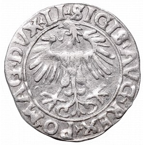 Sigismund II Augustus, Half-groat 1556, Vilnius - LI/LITVA