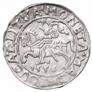 Sigismund II Augustus, Half-groat 1556, Vilnius - L/LITVA