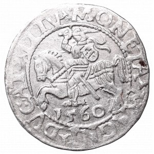 Sigismund II Augustus, Half-groat 1560, Vilnius, L/LITV