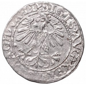 Sigismund II Augustus, Half-groat 1560, Vilnius, LI/LITV