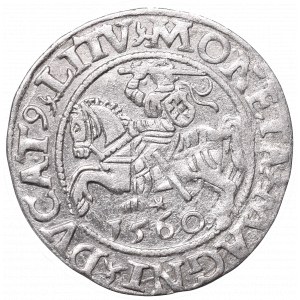 Sigismund II Augustus, Half-groat 1560, Vilnius, L/LITV