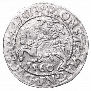 Sigismund II Augustus, Half-groat 1560, Vilnius, L/LITVA