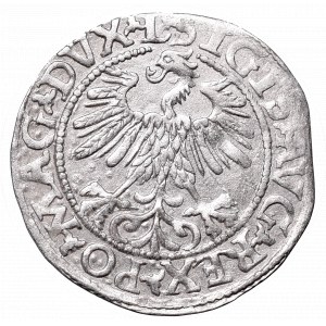 Zygmunt II August, Półgrosz 1560, Wilno, L/LITVA