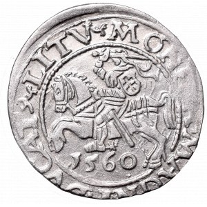 Sigismund II Augustus, Half-groat 1560, Vilnius, L/LITV