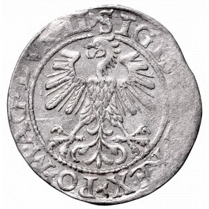 Zygmunt II August, Półgrosz 1560, Wilno, LI/LITV