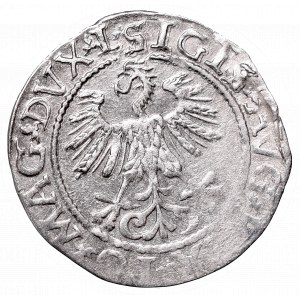 Sigismund II Augustus, Half-groat 1560, Vilnius, L/LITVA