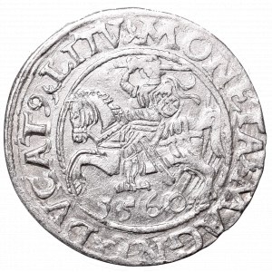 Sigismund II Augustus, Half-groat 1560, Vilnius, L/LITV