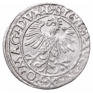 Sigismund II Augustus, Half-groat 1560, Vilnius, L/LITV