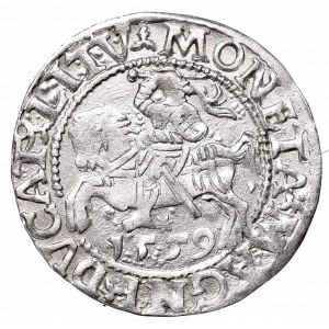 Zygmunt II August, Półgrosz 1559, Wilno - LI/LITV