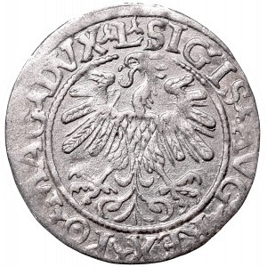 Sigismund II Augustus, Half-groat 1559, Vilnius, L/LITV