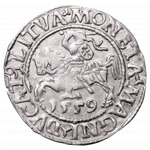 Zygmunt II August, Półgrosz 1559, Wilno, L/LITVA