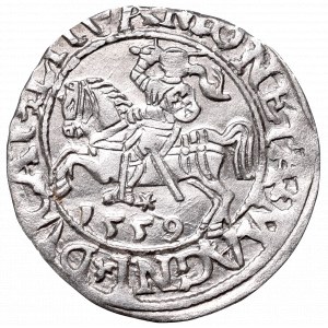 Zygmunt II August, Półgrosz 1559, Wilno, LI/LITVA
