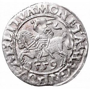 Sigismund II Augustus, Half-groat 1559, Vilnius, L/LITVA