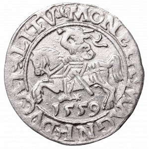 Zygmunt II August, Półgrosz 1559, Wilno, L/LITV