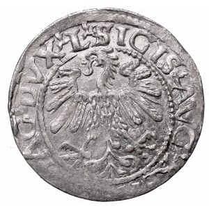 Sigismund II Augustus, Half-groat 1559, Vilnius, L/LITVA