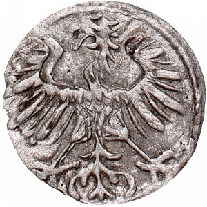 Zygmunt II August, Denar 1554, Wilno
