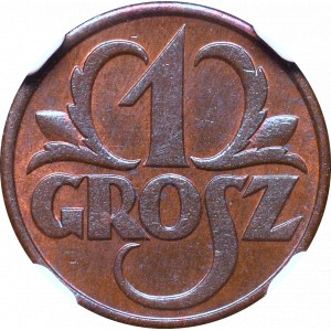 II Rzeczpospolita, 1 grosz 1931 - NGC MS64 BN