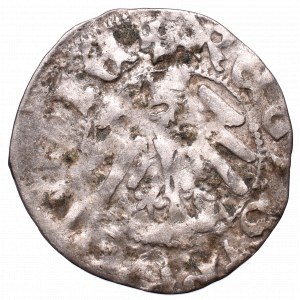 Vladislaw Jagiellon, Half-groat without date, Cracow