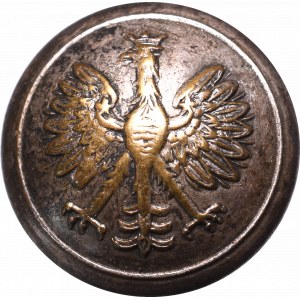 PSZnZ, Guzik wojskowy I Korpus(?)