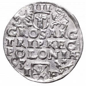 Zygmunt III Waza, Trojak 1593, Poznań - nieopisana przebitka E/REG