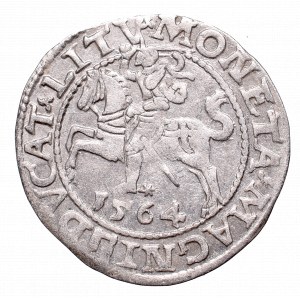 Sigismund II August, Half-groat 1564, Vilnius, L/LITV