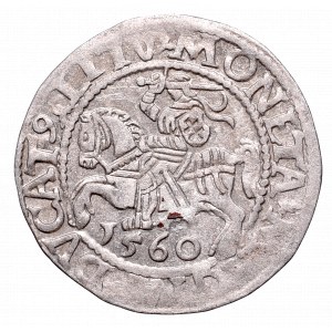 Sigismund II August, Half-groat 1560, Vilnius, L/LITV