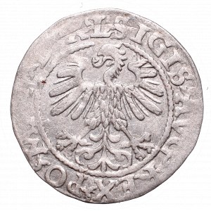 Sigismund II August, Half-groat 1560, Vilnius, L/LITV