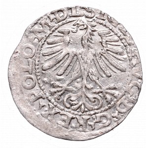 Sigismund II August, Half-groat 1564, Vilnius, L/LITVA