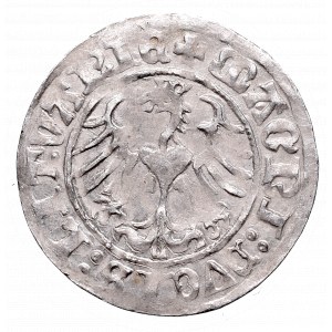Sigismund I the Old, Half-groat 1513, Vilnius