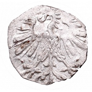 Sigismund II August, 1 denarius 1563, Vilnius