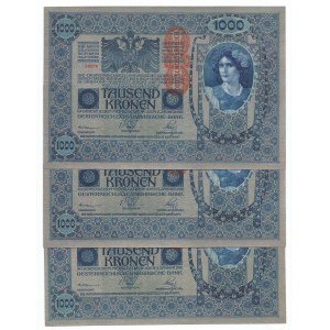 Austro-Węgry, Zestaw 1000 koron 1902