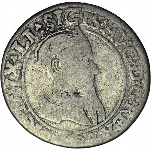 Zygmunt II August, Czworak 1567, Wilno