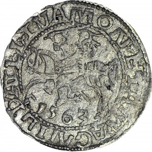 RR-, Zygmunt II August, Półgrosz 1563, Wilno, FANTAZYJNY ORZEŁ, fałszerstwo z epoki