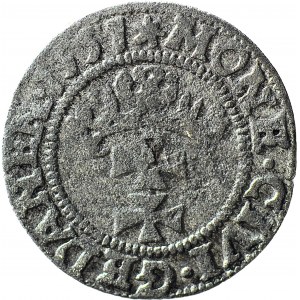 R-. Zygmunt II August, Szeląg 1551 Gdańsk, rzadki, R3, T.7mk